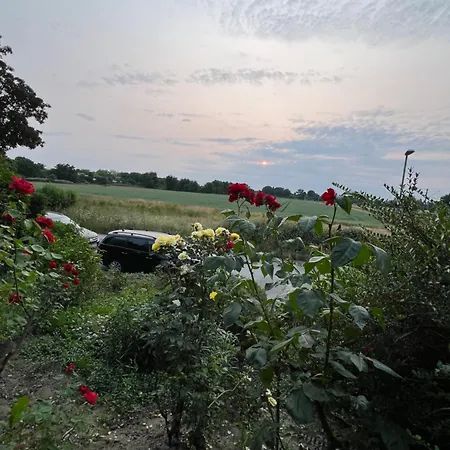 Kamperweghaus Near Duesseldorf ホームステイ *