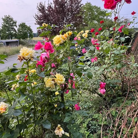 Kamperweghaus Near Duesseldorf * メーアブッシュ