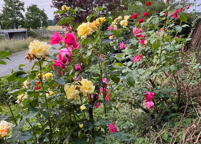 Kamperweghaus Near Düsseldorf * Meerbusch